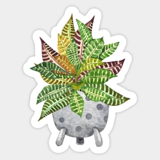 Croton plant Sticker